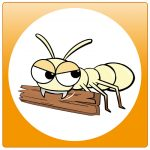 Continuing to keep Your dwelling Pest-Free Might Lead towards Pest Control Services